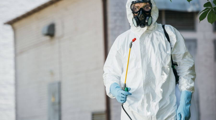 Professional termite inspection services in Clark Park - Termite Inspection Clark Park