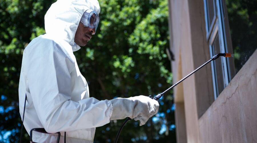 Why choose Termite Inspection Clark Park for termite inspection in Clark Park